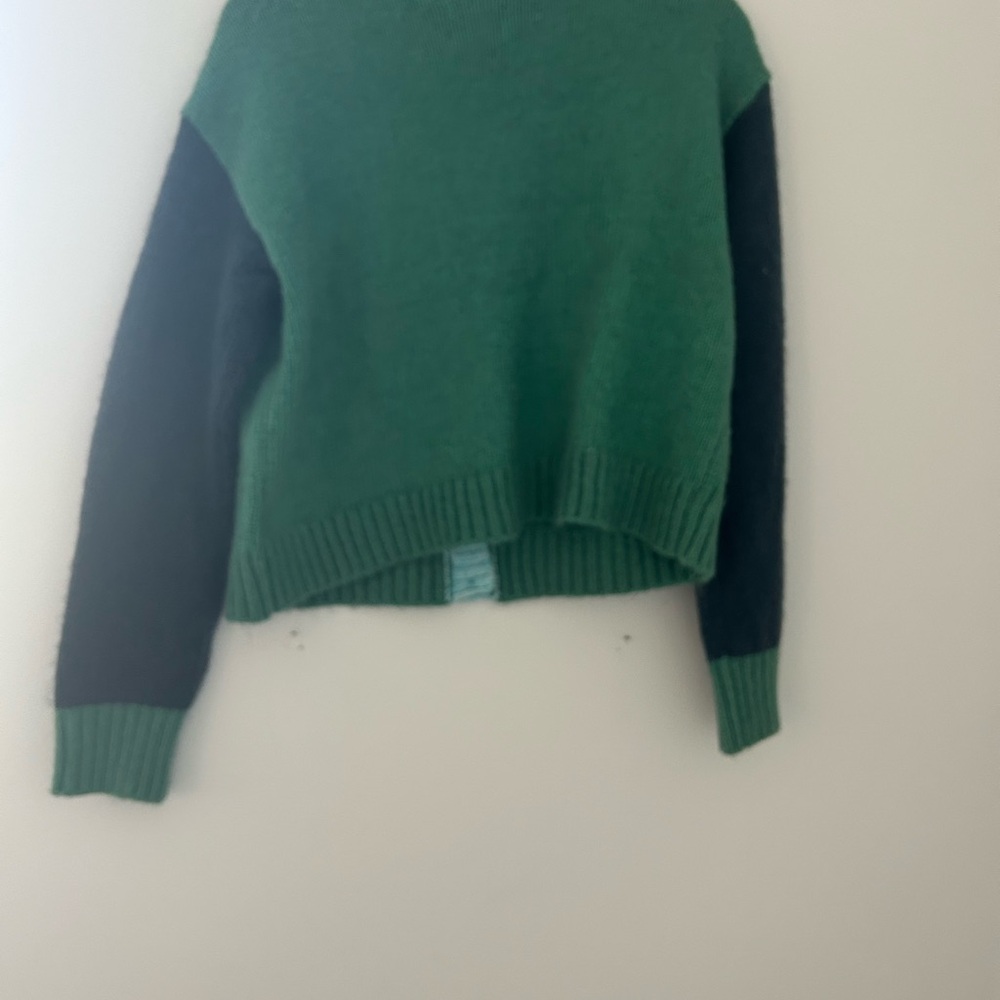 American Eagle Outfitters Green and Black Crew Neck Sweater